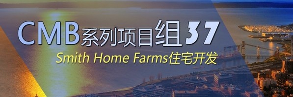 CMB组37项目介绍